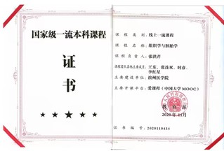 组织学与胚胎学 国家级一流课程