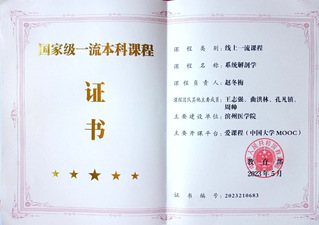 系统解剖学 国家级一流课程